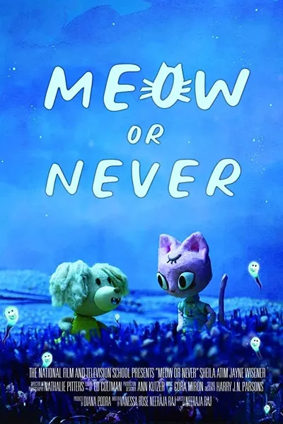 Meow or Never