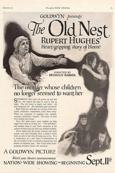 The Old Nest