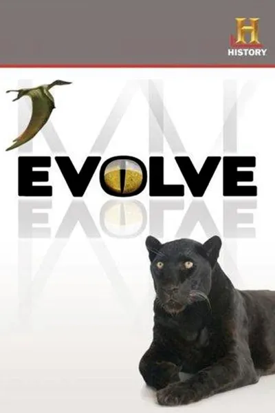 Evolve