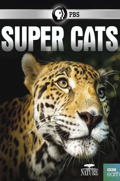 Super Cats