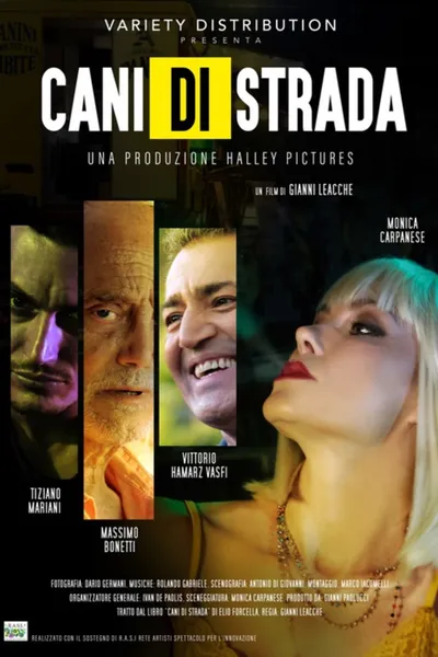 Cani di strada