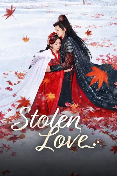 Stolen Love