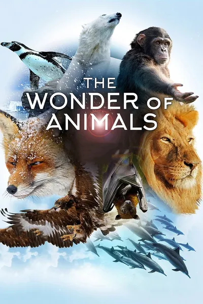 The Wonder of Animals