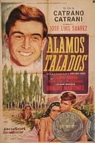 Álamos talados