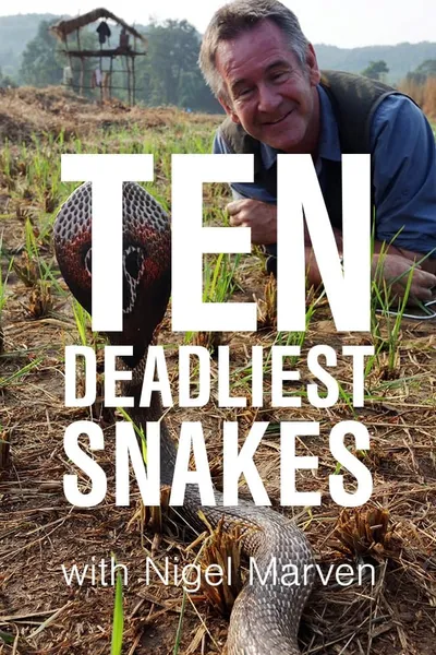 Ten Deadliest Snakes with Nigel Marven