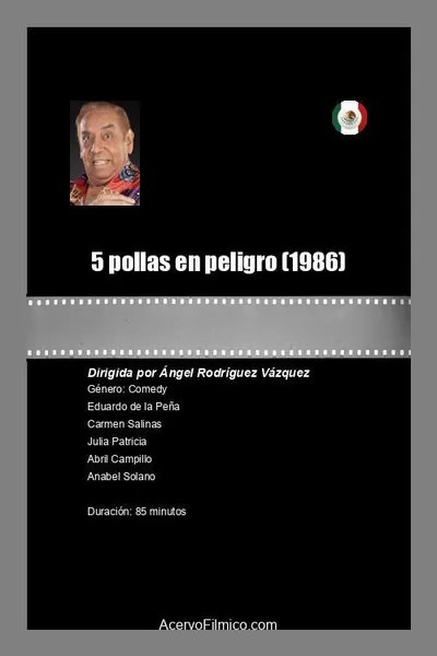 5 pollas en peligro