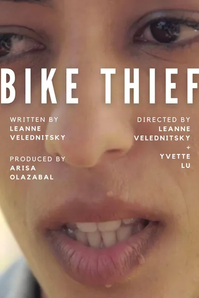 Bike Thief