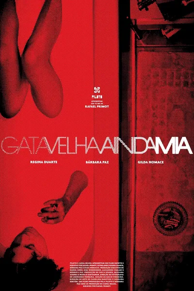 Never Too Old to Meow