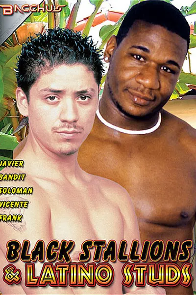 Black Stallions & Latino Studs