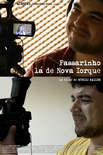 Passarinho Lá de Nova Iorque