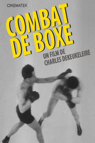 Boxing Match