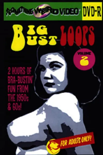 Big Bust Loops Volume 2