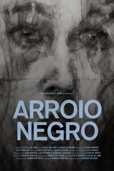 Arroio Negro