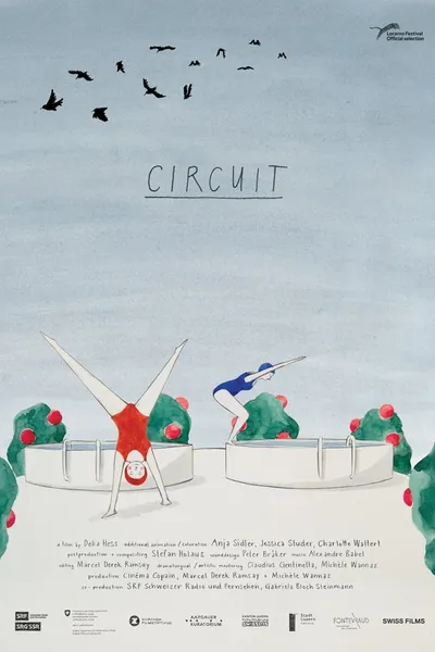 Circuit