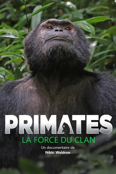 Primates: The Strength of the Clan