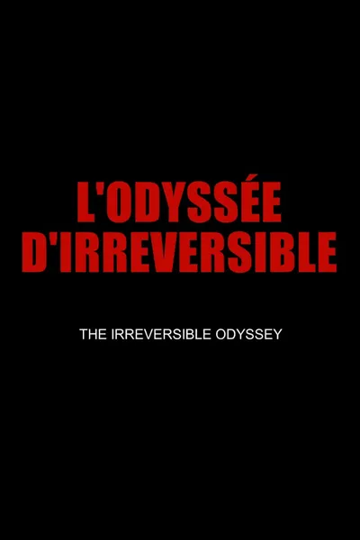 The Irreversible Odyssey