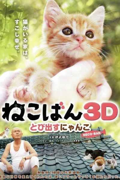 Nekoban: Cats in Your Life