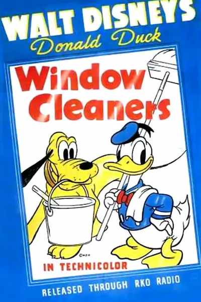 Window Cleaners