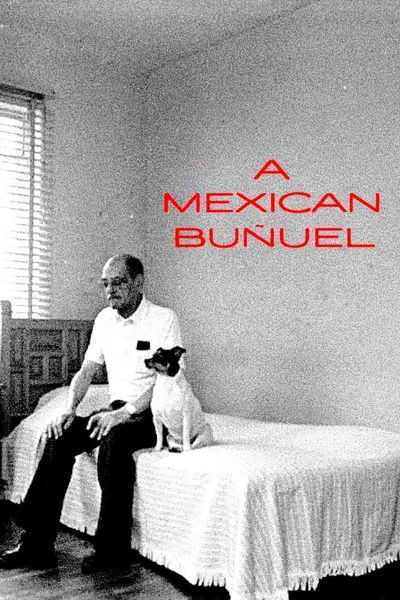 A Mexican Buñuel