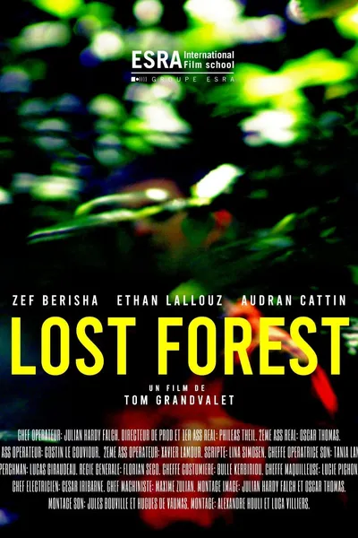 Lost Forest