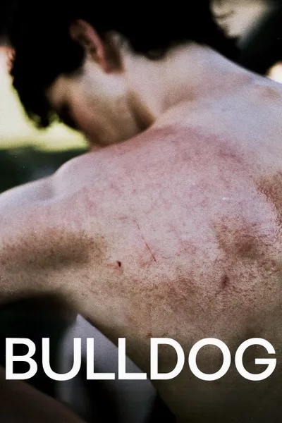 Bulldog