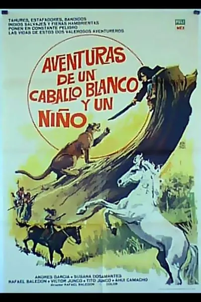 Aventuras de un caballo blanco y un niño