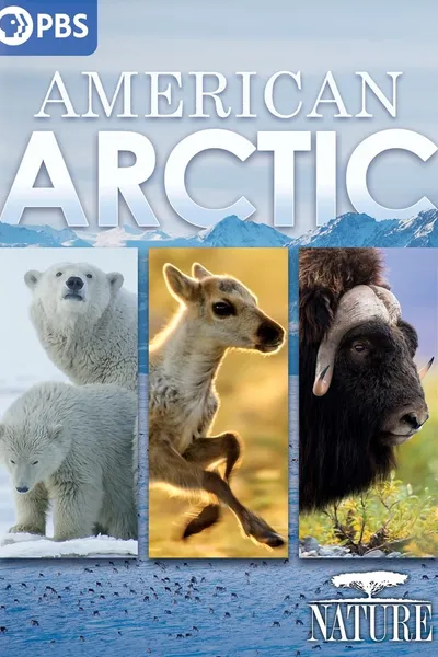 Nature: American Arctic