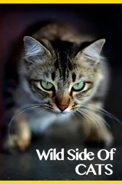 Wild Side of Cats