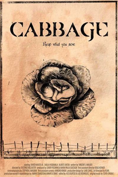 Cabbage