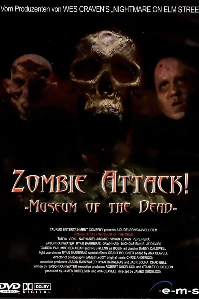 Zombie Attack: Museum of the Dead