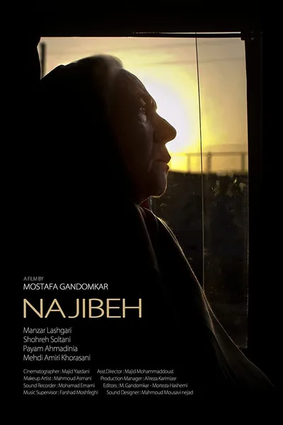 Najibeh