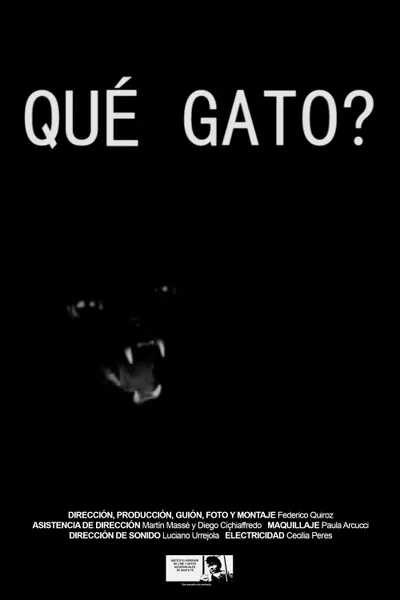 Qué gato?