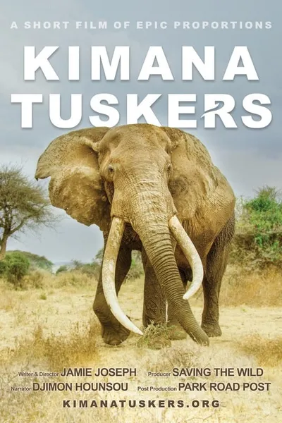 Kimana Tuskers