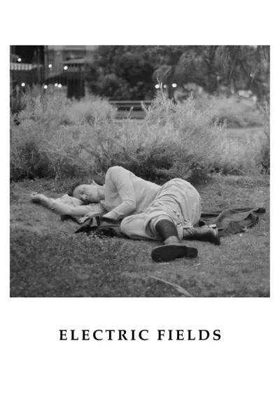 Electric Fields