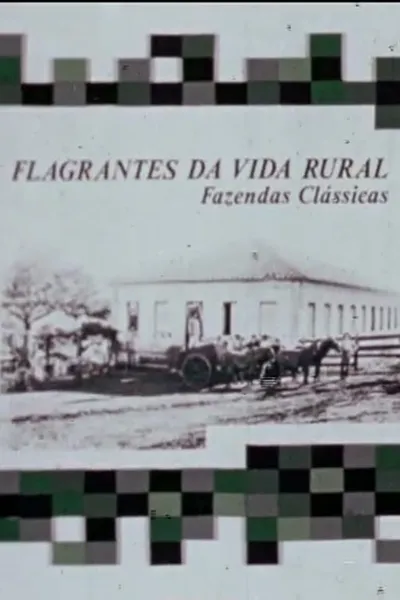 Flagrantes da vida rural: Fazendas Clássicas