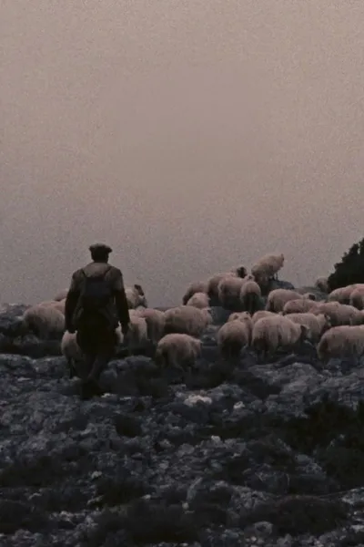 Orgosolo’s Shepherds