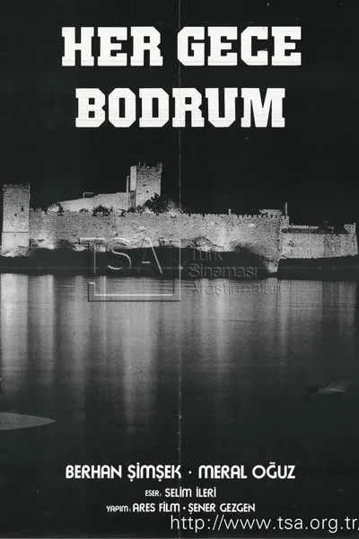 Her Gece Bodrum