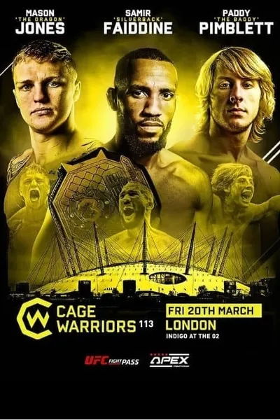 Cage Warriors 113: Fabinski vs. Stewart