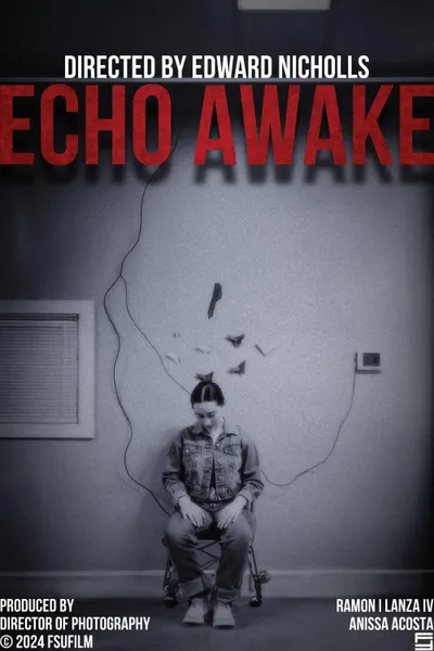 Echo Awake