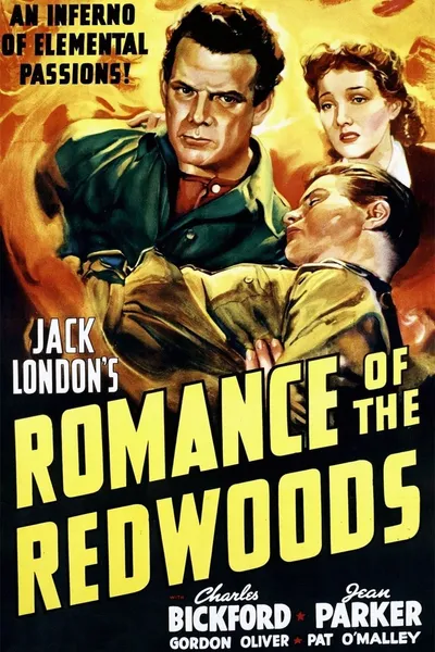 Romance of the Redwoods