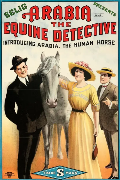 Arabia: The Equine Detective