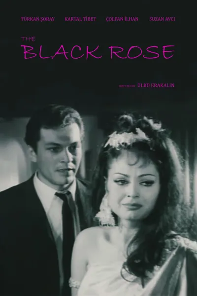 Black Rose