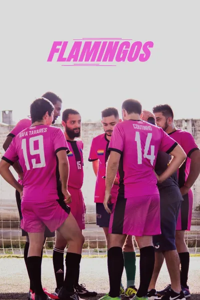 Flamingos