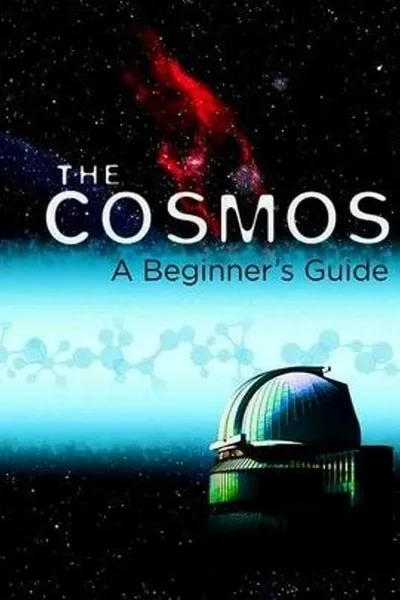 The Cosmos: A Beginner's Guide