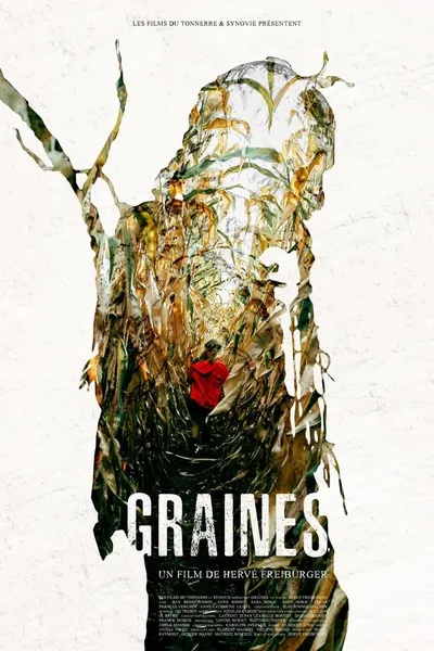 Graines