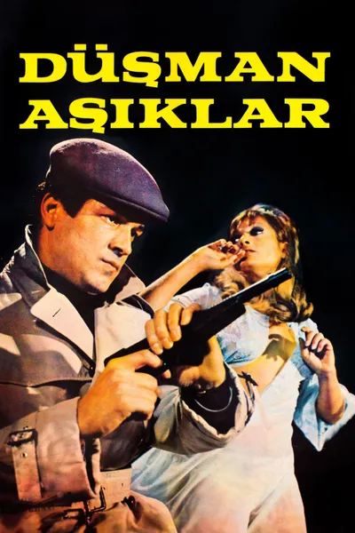 Düşman Aşıklar