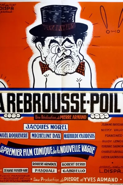 À rebrousse-poil