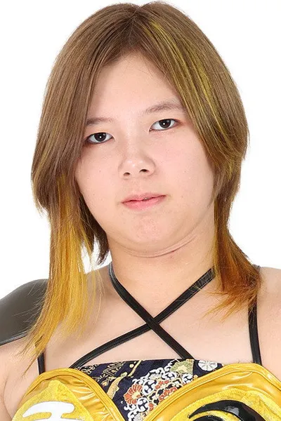 Ai Houzan