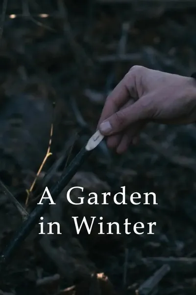 A Garden in Winter
