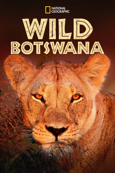 Wild Botswana